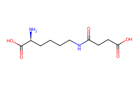 N6-Succinyllysine 52685-16-2